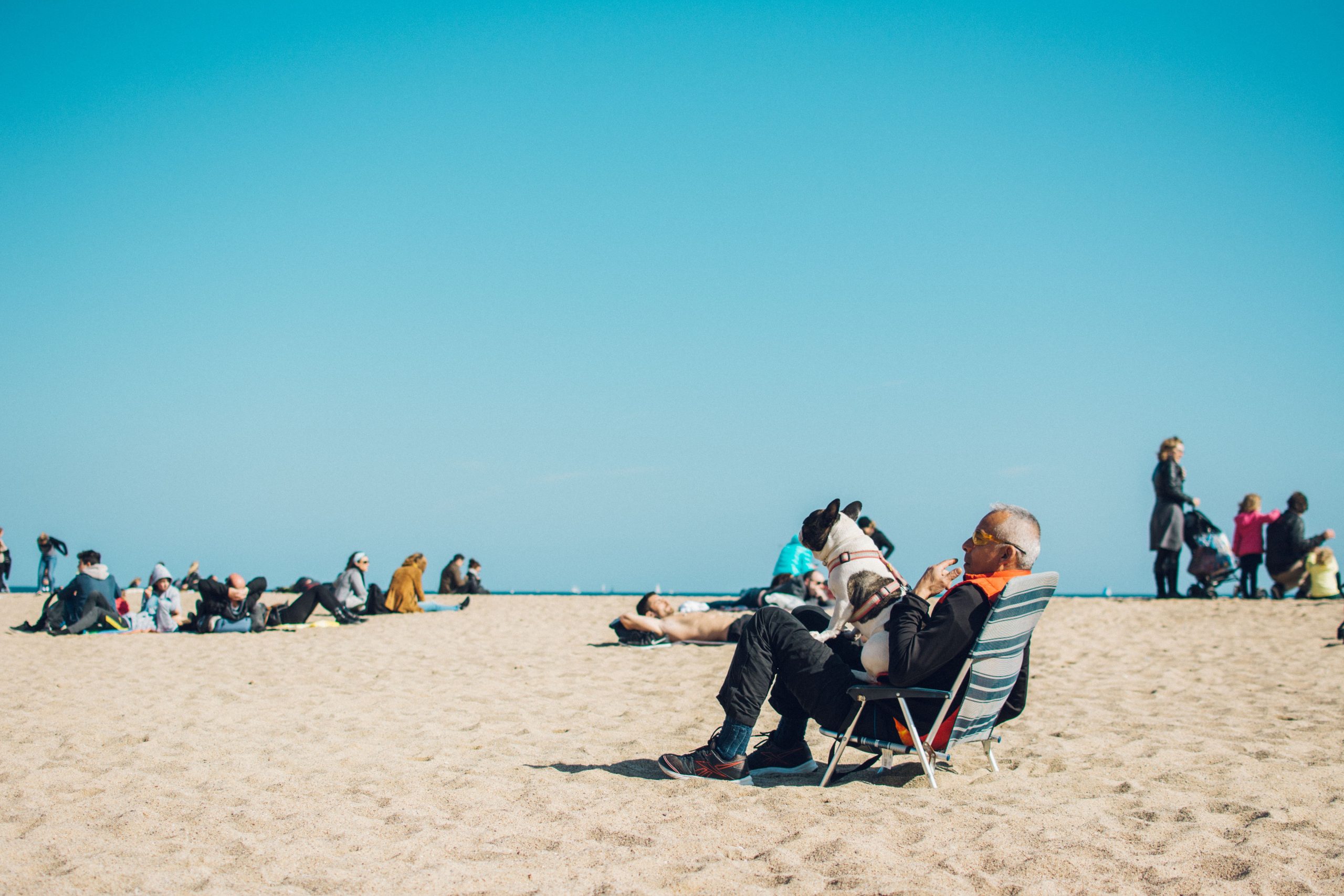 Homme âgé et chien profitant du soleil plage