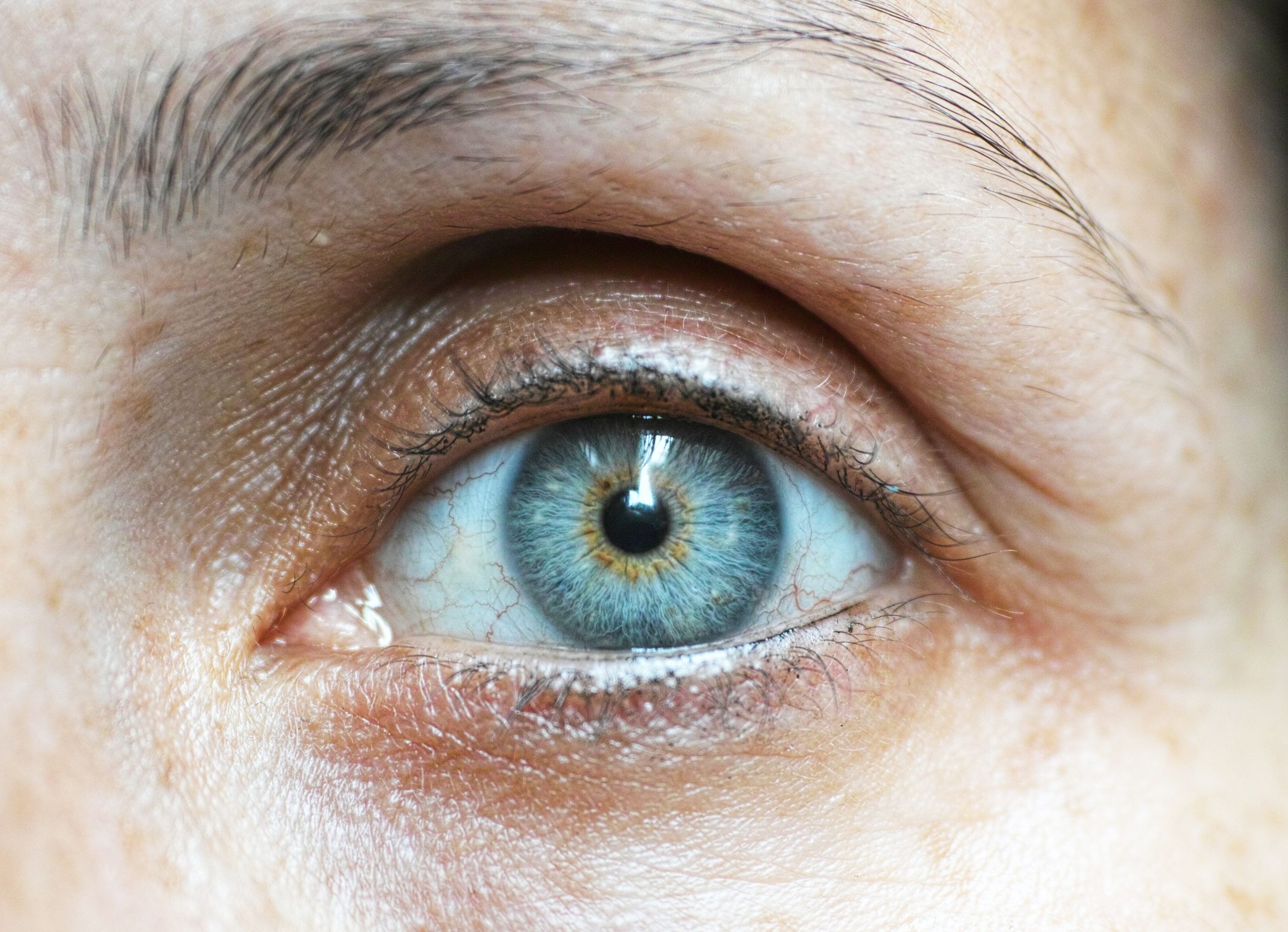 Détails intriqués de l'oeil bleu féminin
