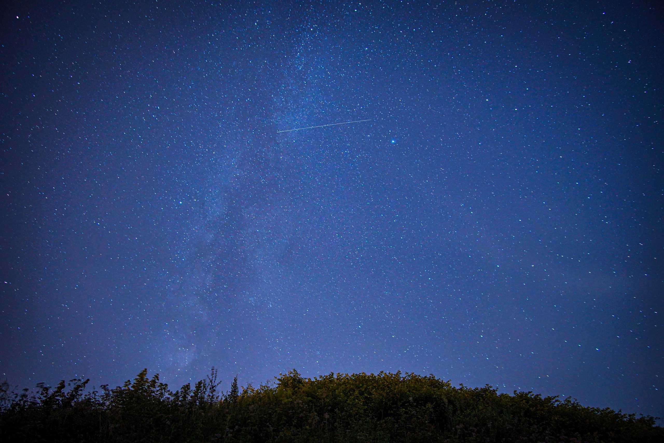 Ciel étoilé étoile filante et voie lactée arbres
