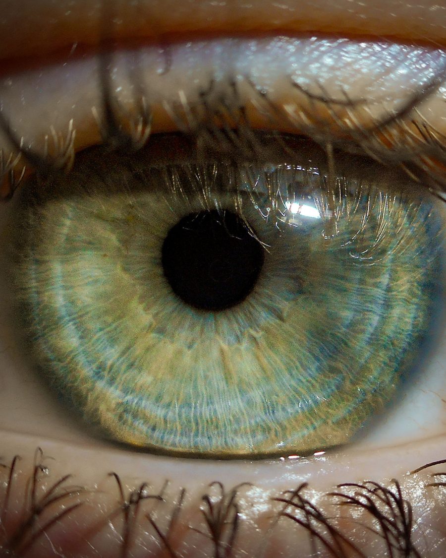 Pourquoi certaines personnes ont les yeux vert et bleu ?